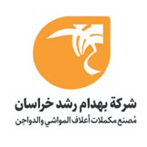 نام وب سایت : توضیحات کوتاه برند در اینجا تایپ کنید.